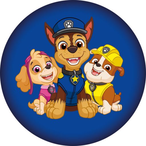 Paw Patrol Squad decorative pillow 37x37 cm