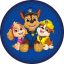 Paw Patrol Squad decorative pillow 37x37 cm