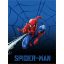 Spiderman Nightweaver coral fleece blanket 150x200cm