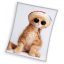 Cat Cool Kitty coral fleece throw blanket 150x200cm