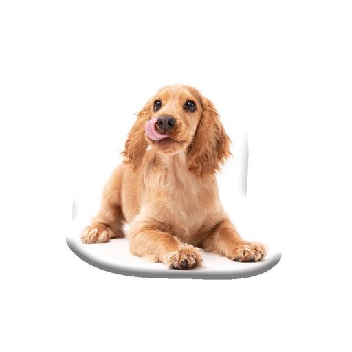 Dog Spaniel decorative pillow 40x40 cm Velour