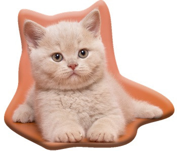 Cat Fluffy decorative pillow 38x33 cm Velour