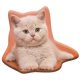 Cat Fluffy decorative pillow 38x33 cm Velour