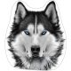 Wolf shaped pillow, decorative cushion 40*34 cm