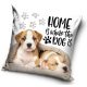 Dog Home pillowcase 40x40 cm Velour