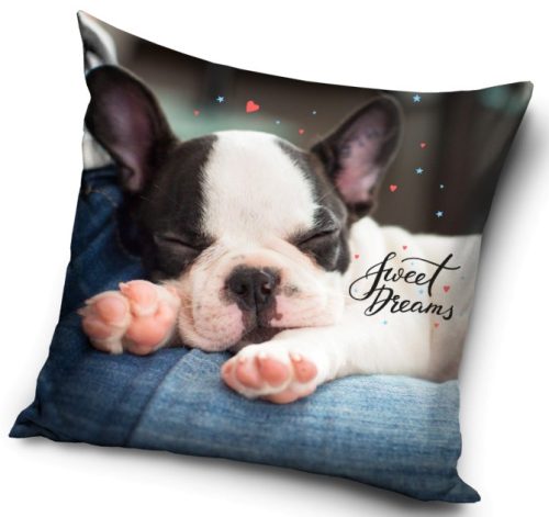 The Dog Dreams Pillow, Cushion 40*40 cm