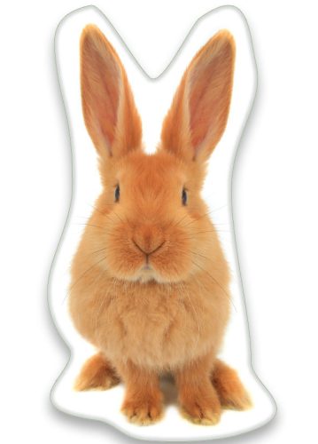 Rabbit S-shaped decorative pillow 22*36 cm