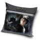 Harry Potter pillow, decorative cushion 40*40 cm