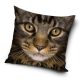 Cat pillow, decorative cushion 40*40 cm