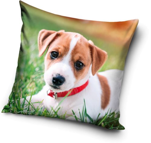 Dog pillow, decorative cushion 40*40 cm
