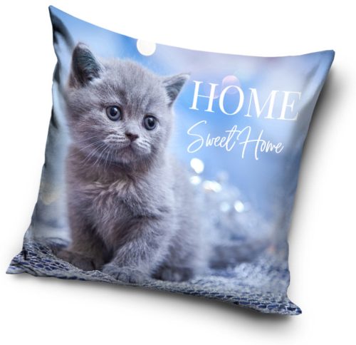 The Cat Pillow, Cushion 40x40 cm