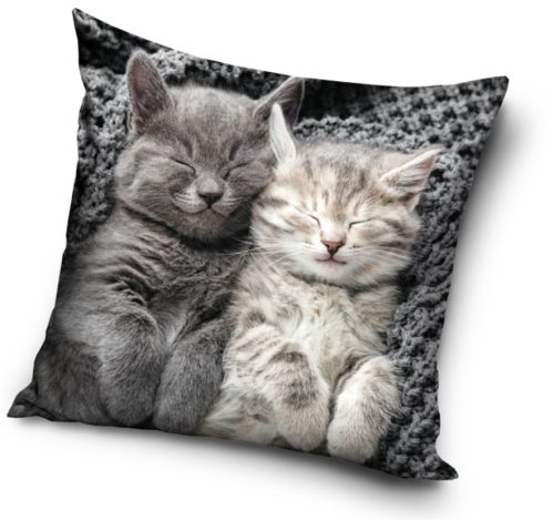 The Cat Sleep Pillow, Cushion 40x40 cm