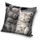 The Cat Sleep Pillow, Cushion 40x40 cm
