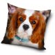 Dog pillow, decorative cushion 40*40 cm