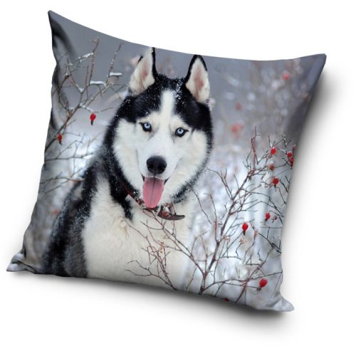 Dog pillow, decorative cushion 40*40 cm