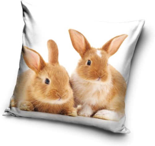Rabbit pillow, decorative cushion 40*40 cm
