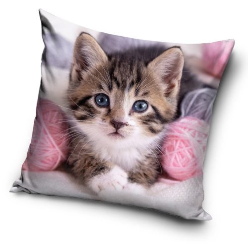 Cat pillow, decorative cushion 40x40 cm