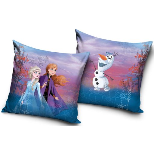 Disney Frozen decorative pillow 40x40 cm