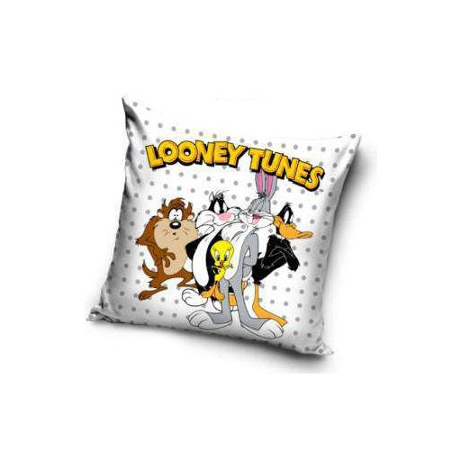 The Looney Tunes decorative pillow 40x40 cm