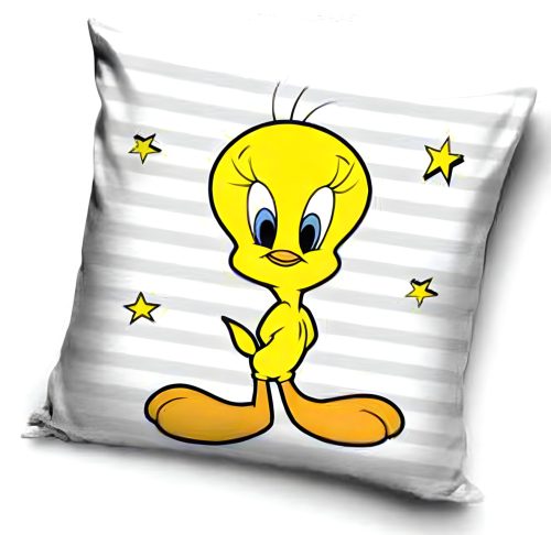 Looney Tunes Pillow, Cushion 40x40 cm