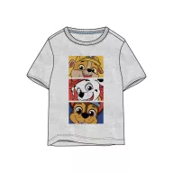   Paw Patrol Boys children's short-sleeve top, ages 3 - 8 / 98 - 128 cm