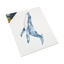 Colour Nassau Stretched wooden frame canvas 50x70 cm