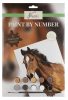 Horses Nassau paint by numbers kit