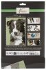 Dog Nassau paint by numbers kit