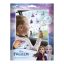 Disney Frozen Destiny window sticker set