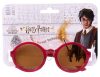 Harry Potter sunglasses