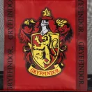Harry Potter Gryffindor Premium Transparent Beach Bag 62 cm