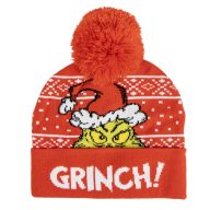 The Grinch Red child hat