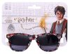 Harry Potter sunglasses