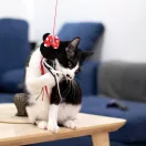 Disney Minnie Black cat toy fishing rod