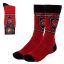 House of the Dragon Crest adult long sock 40/46