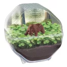 Animals Bear Mini Terrarium Clementoni