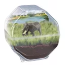 Animals Elephant Mini Terrarium Clementoni