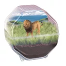 Animals Lion Mini Terrarium Clementoni