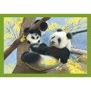 Animals Baby Cuddles 4 in 1 puzzle Clementoni