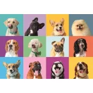 Animals Funny Faces Clementoni 300-piece puzzle