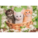 Animals Brothers in Fur 2x60 piece puzzle Clementoni