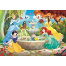 Disney Princess Fountain 60-piece Clementoni Puzzle