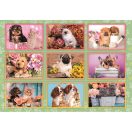 Ăllatos Puppies Collage 180 db-os puzzle Clementoni