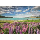 Cities Lake Tekapo New Zealand 1500-piece puzzle Clementoni