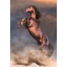 Horses Wild Stallion 500-piece puzzle Clementoni