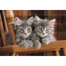 Cat 500-piece Compact puzzle Clementoni