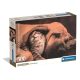 Animals Cuddles 500-piece Compact puzzle Clementoni