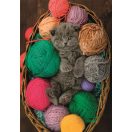 Cat Fluffy 500-piece Compact puzzle Clementoni