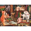 Cat Curious Whiskers 1000-piece Compact puzzle Clementoni