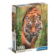   Tiger Hunter's Path 1000 piece Compact puzzle Clementoni